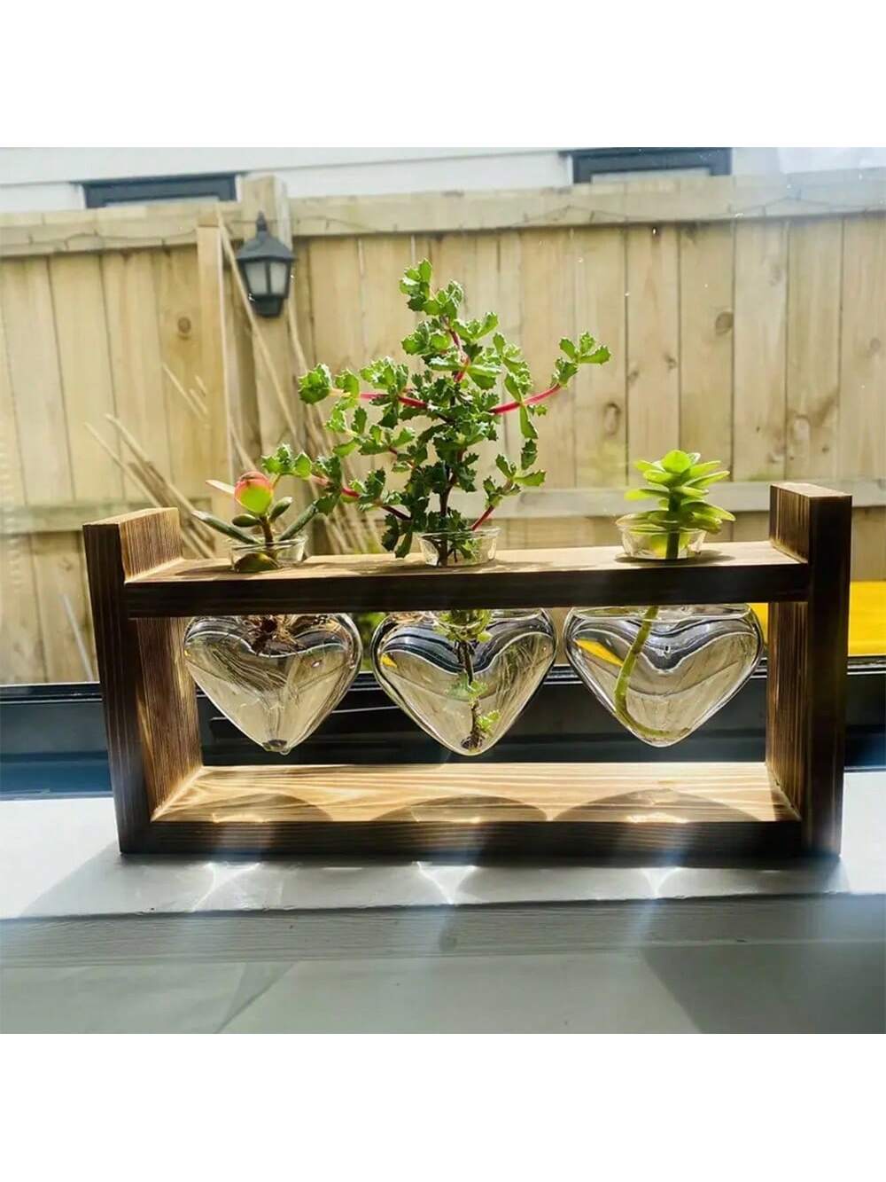 Introducing Love Grows Here, the Heart Vase Hydroponic Plant Terrarium with Wooden Stand. Add a touch of love and greenery to your space with this stunning terrarium. The heart-shaped vase and wooden stand create a unique and eye-catching display for your favorite plants.