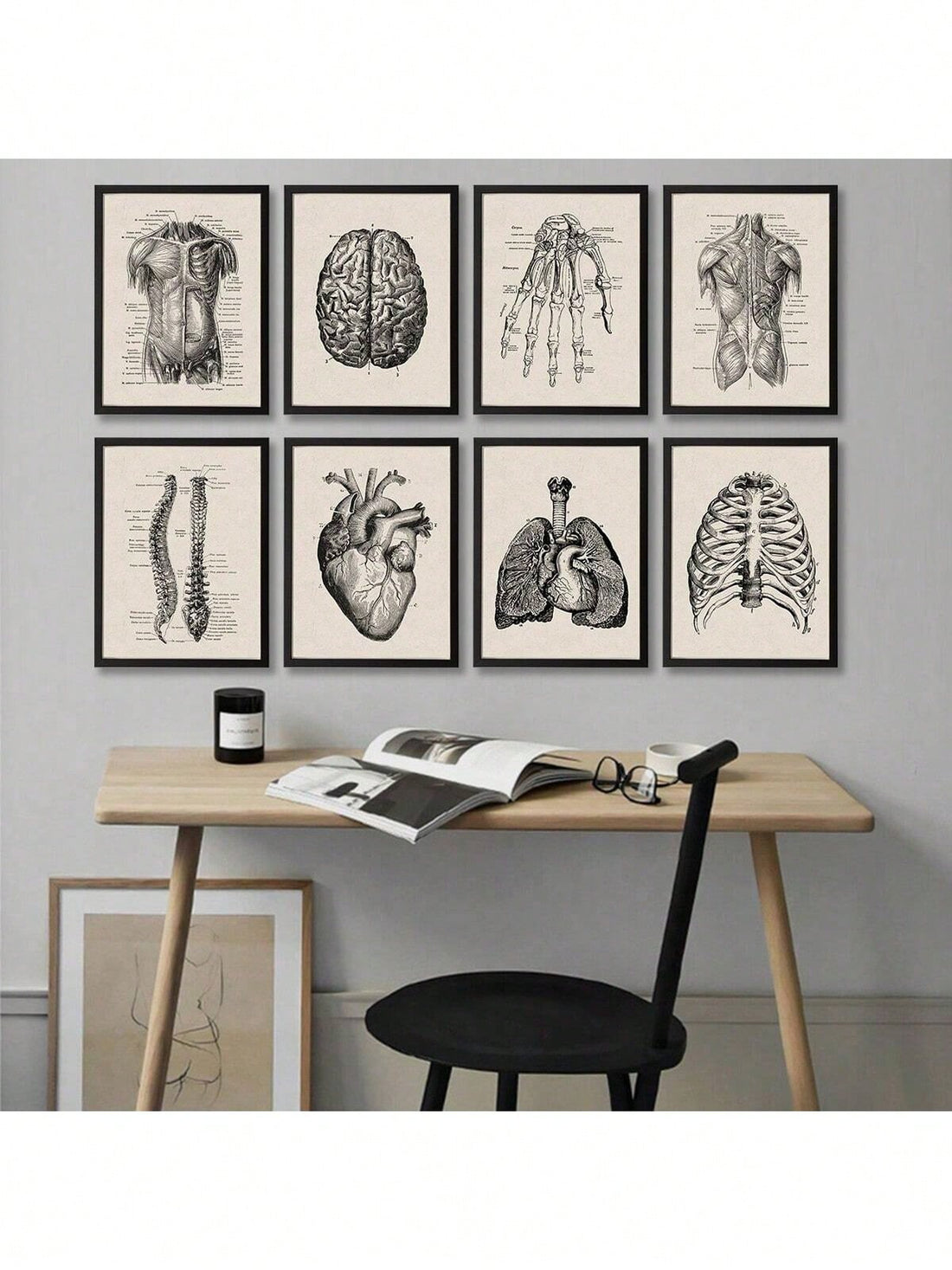 Discover the fascinating history of medicine with our Vintage Anatomy Canvas Prints. This educational collection features detailed medical artwork that showcases the intricacies of the human body. Perfect for medical professionals or anyone interested in the field, these prints are a unique and informative addition to any space.