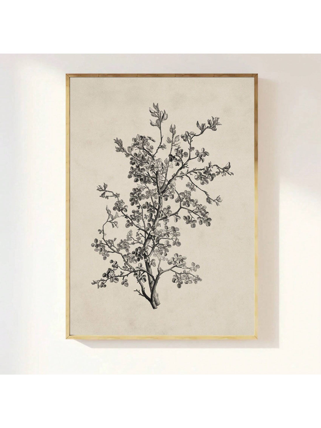 Enhance your farmhouse or rustic home with this Vintage Botanical Tree Art Poster. Featuring a minimalist design on high-quality canvas, this print highlights detailed botanical illustrations of tree species, blending timeless natural beauty with modern simplicity. Perfect for adding an elegant, nature-inspired touch to any living space.