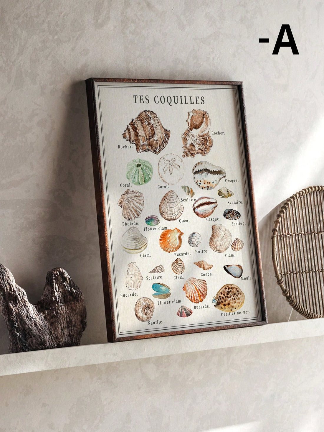 Bring timeless coastal charm into your space with this retro-inspired shells canvas wall art. Featuring a carefully curated aesthetic design, this decorative print captures the essence of seaside tranquility with vintage-style shell motifs. 