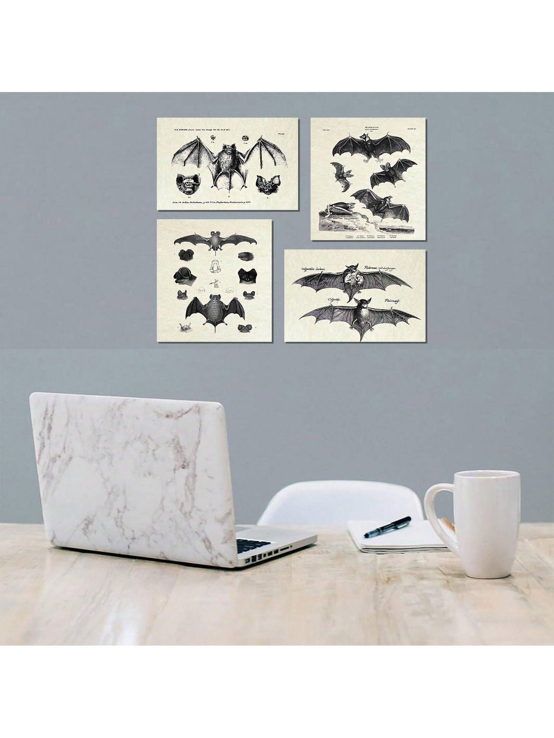 Explore your dark and mysterious side with our Creepy Chic art prints. The set of 4 posters feature intricate and vintage illustrations of bat anatomy, adding a touch of horror to your home decor. Delve into the world of gothic aesthetics with these unique and educational pieces.