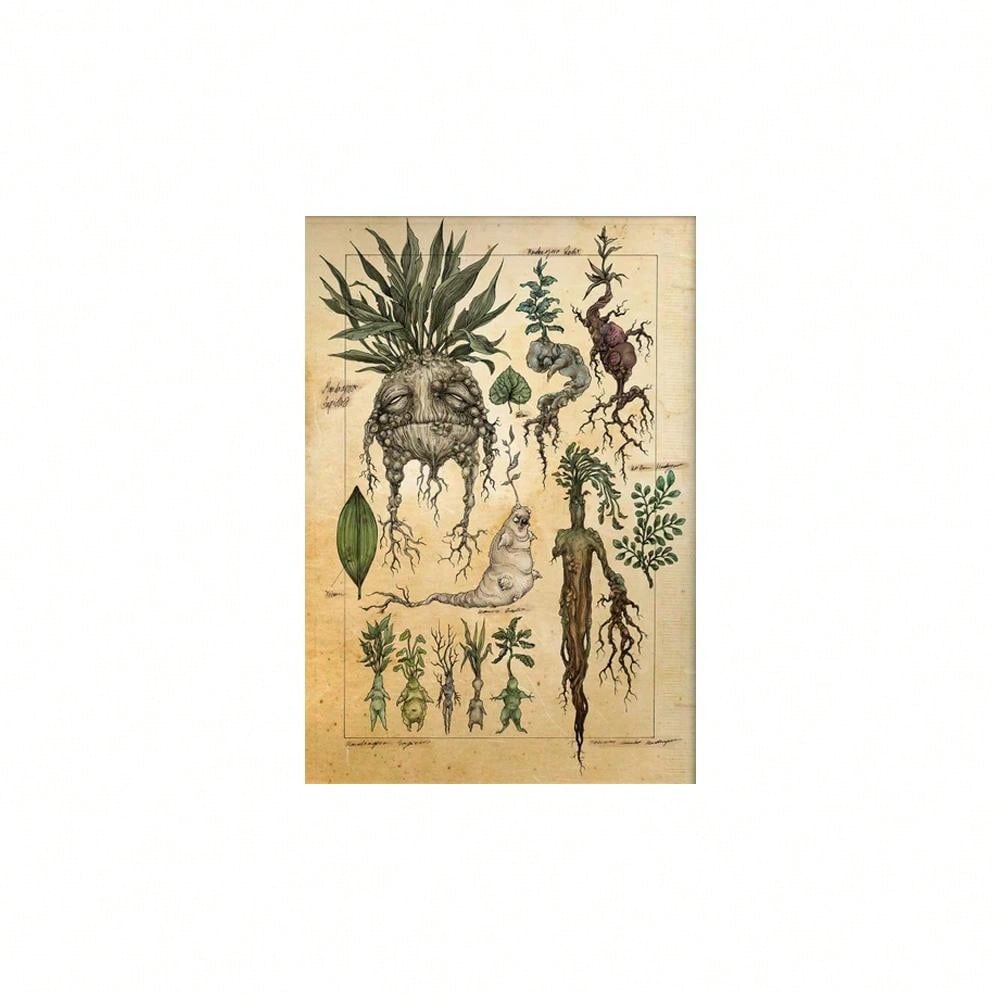 Add a touch of enchantment to your kitchen décor with our Whimsical Herbal Wall Art. This captivating canvas print features hand-drawn botanical illustrations that will bring a natural and soothing ambiance to your space. Crafted with high-quality materials, it is a charming addition to any home.