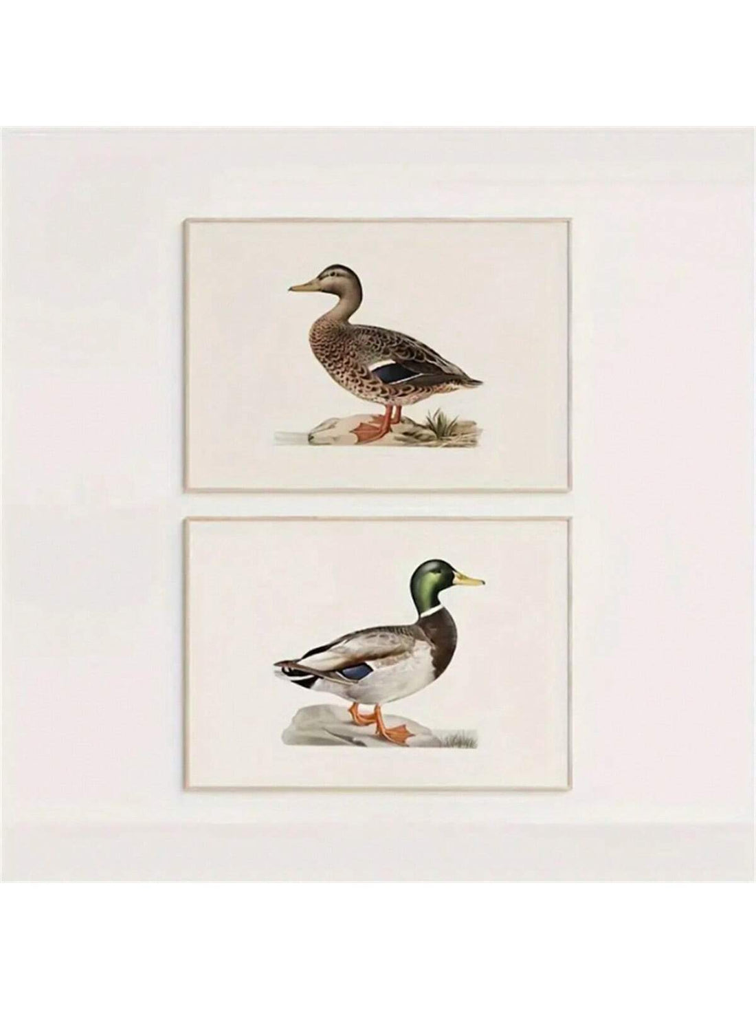 Enhance the aesthetics of your kitchen or office with our Charming Vintage Duck Canvas Art Print Set. Featuring a frameless design, this farmhouse decor exudes elegance and adds a touch of nostalgia. Made with durable duck canvas, these prints are built to withstand the test of time.