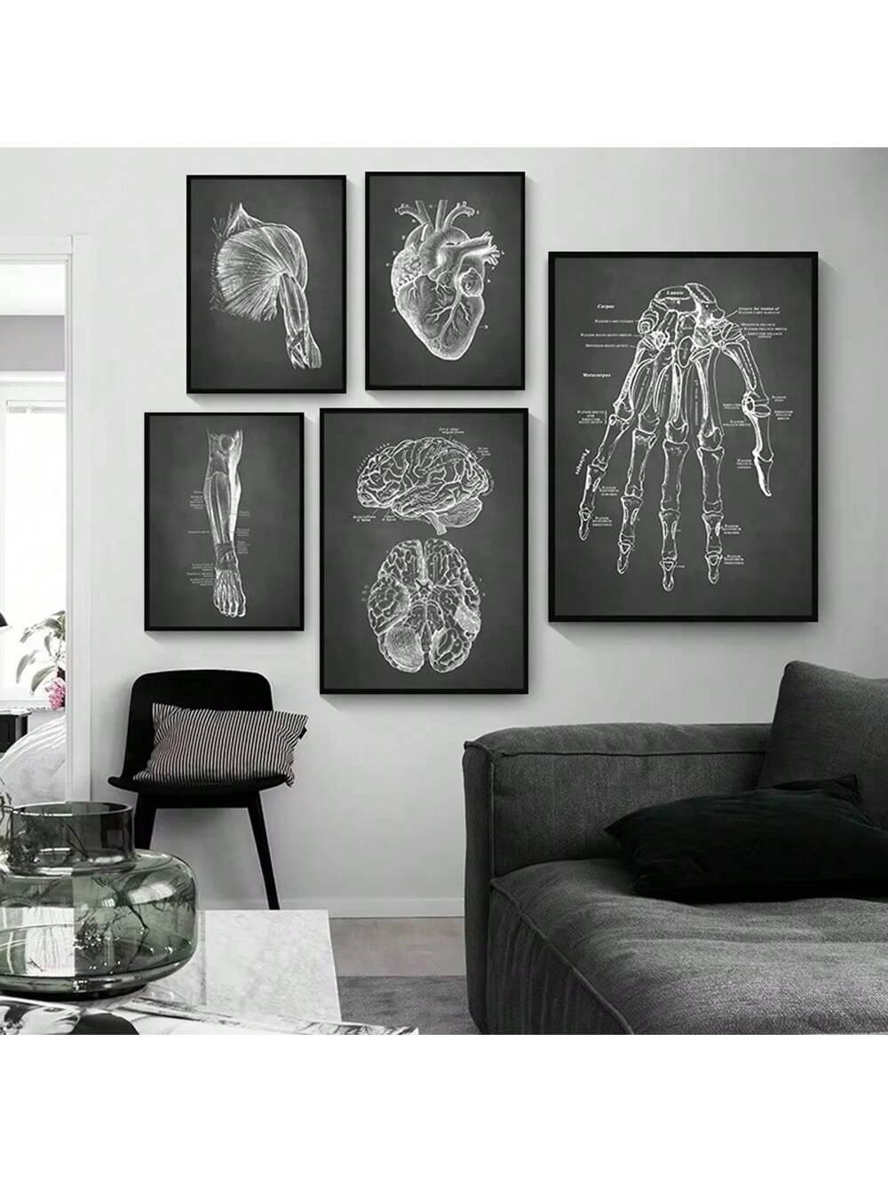 Elevate your space with this stylish black human anatomy wall art, featuring detailed anatomical illustrations of the skeleton and organs. Perfect for home decor, educational environments, or as a unique gift, this print combines scientific accuracy with modern design. Its monochromatic palette ensures it complements various interiors while serving as a conversation starter and learning tool. Ideal for those who appreciate both art and anatomy, this piece brings sophistication and knowledge into any room.