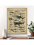 //img.ltwebstatic.com/images3_spmp/2024/12/20/6b/17347006942541e39acf9c438746ba1074a72c6c07_square_thumbnail_900x.webp