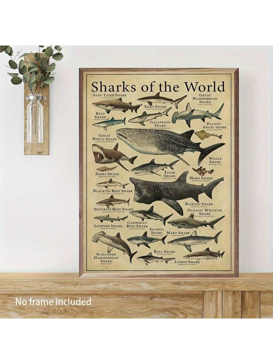 //img.ltwebstatic.com/images3_spmp/2024/12/20/d8/17347006949514f1efe32634914a279f81dfc33084_square_thumbnail_900x.webp
