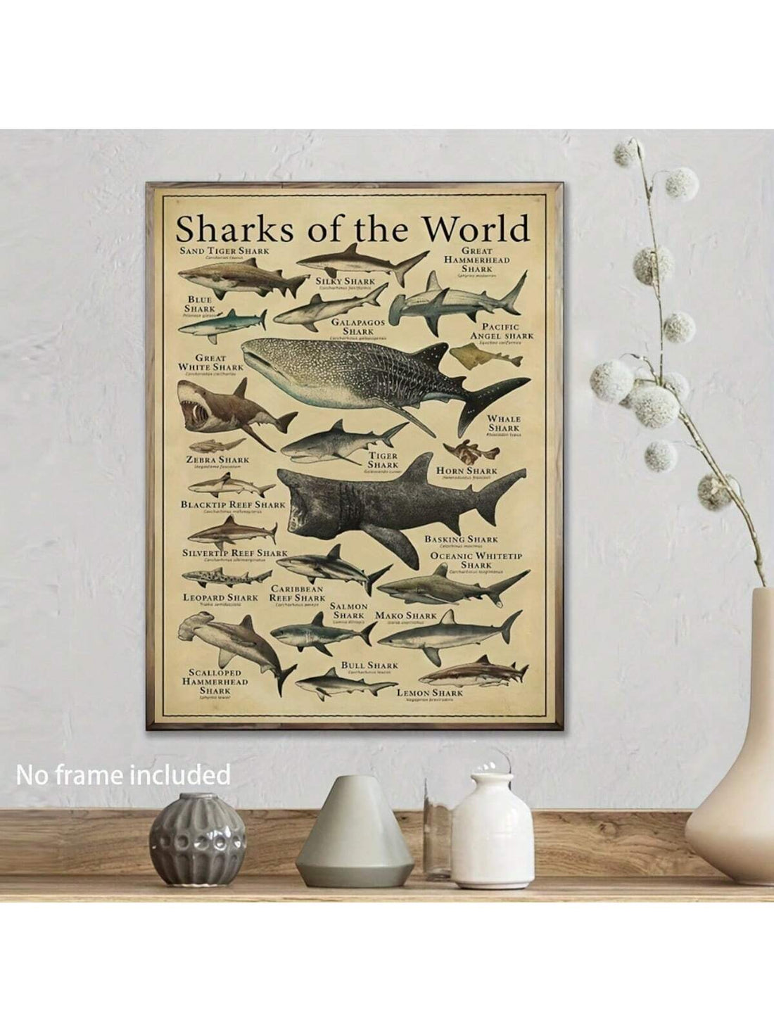 Discover the wonders of the ocean with this vintage shark species wall art poster. Perfect for home, office, or as a unique gift for sea life enthusiasts. This educational canvas print features unframed dimensions of 12x16 inches, making it a stunning addition to any space.