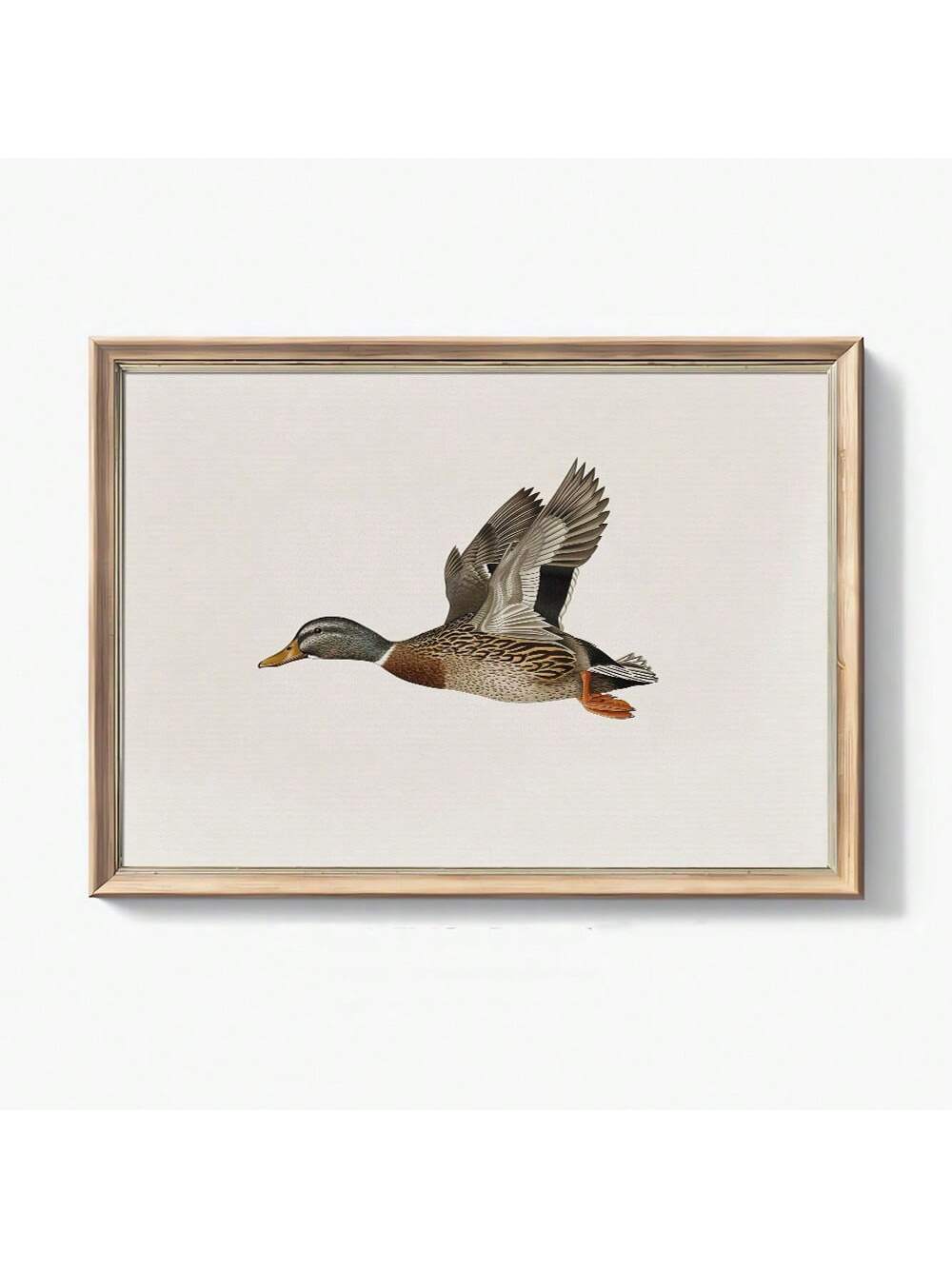 Elevate your home decor with this charming Rustic Vintage Mallard Duck Flying Bird Poster. Featuring a retro country farmhouse design, this canvas art decor adds a touch of nostalgia to any modern home. Bring the beauty of nature indoors with this unique and stylish piece.