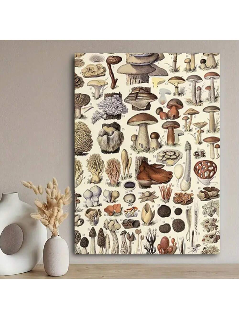 Learn about a variety of mushrooms and herbs with this vintage poster. Designed for educational purposes, this framed poster adds a touch of nature to any bedroom or classroom. With detailed illustrations and scientific facts, this poster is perfect for all ages.