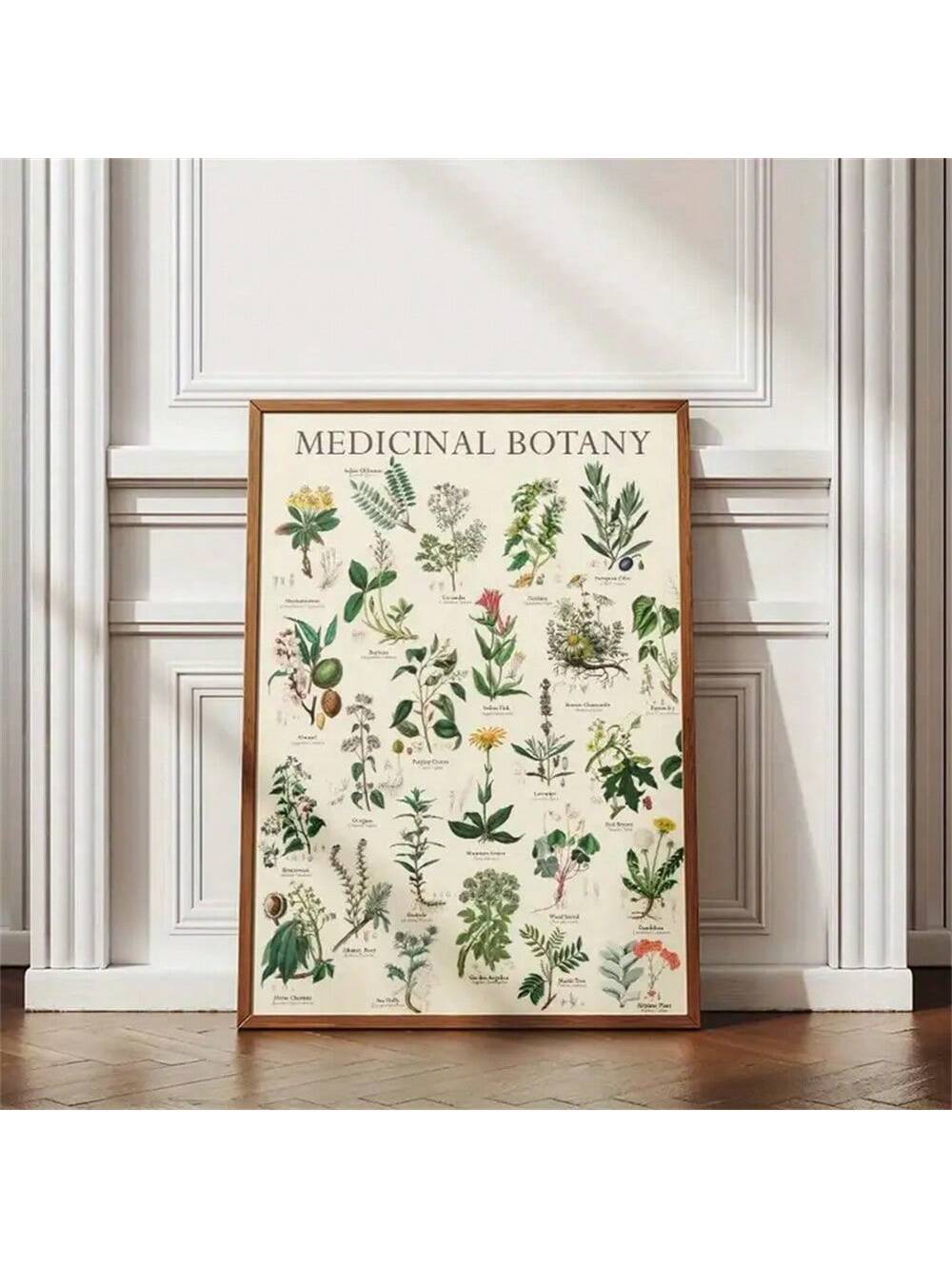 Enhance your space with this Vintage Botanical Canvas Art Print featuring detailed illustrations of medicinal plants. Ideal for home, office, or dormitory decor, this art piece combines scientific accuracy with timeless aesthetic appeal. Printed on high-quality canvas, it brings a classic touch to any wall while inspiring appreciation for natural remedies and botanical heritage. Perfect for experts and enthusiasts alike, it offers both educational value and sophisticated style.
