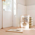 Lotus meditation spiritual energy canvas poster