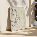 Equestrian horse sketch propped on a sunlit floor near a window