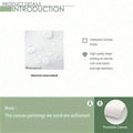 //img.ltwebstatic.com/v4/j/spmp/2026/02/02/fc/1769991667e9781cc2db88eb3106b7df05215ba043_square_thumbnail_900x.webp