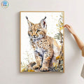 //img.ltwebstatic.com/v4/j/spmp/2026/03/02/09/17724368859b326cd6789af8f2852ffcaa63e7d5c7_square_thumbnail_900x.webp