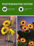 Photosensitive solar sunflower lights charging by day and glowing at night