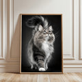 //img.ltwebstatic.com/v4/p/spmp/2026/03/13/3e/17733672250073dbc0ee0536208a3d0255fab80adc_square_thumbnail_900x.webp