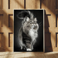 //img.ltwebstatic.com/v4/p/spmp/2026/03/13/92/177336732206427a846912c6a100db64f7b558b898_square_thumbnail_900x.webp
