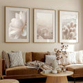 Botanical triptych in light wood frames above a brown sofa