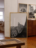 Black White Leopard Life Is Short Live Well Canvas Poster Set
