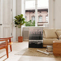 Racing car canvas poster styled in a bright living room beside a plant and neutral sofa