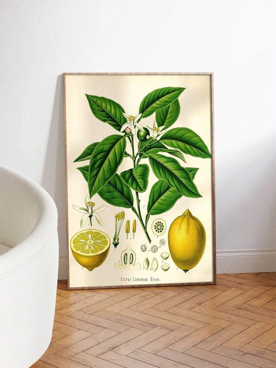 Wood framed citrus botanical print beside pillow and light wood table