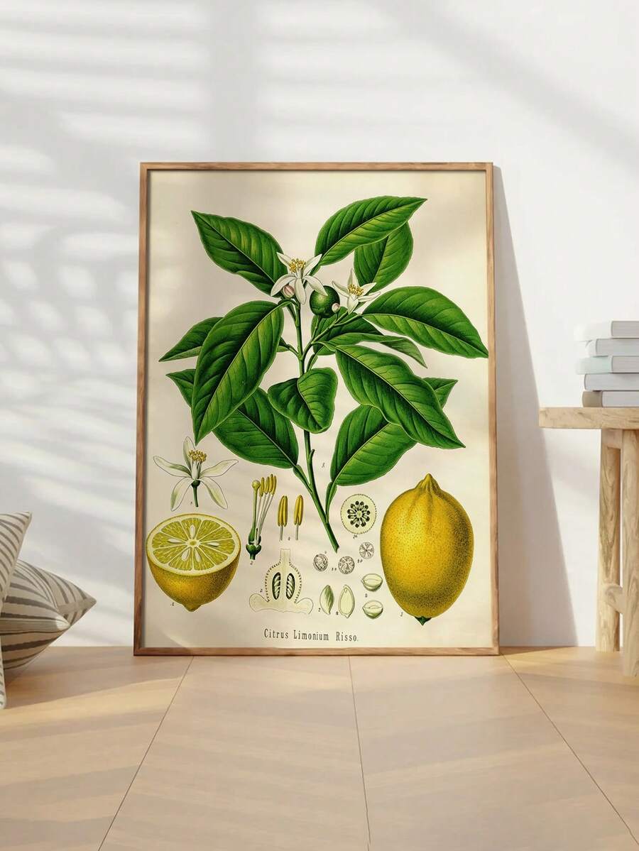 Framed lemon and green leaf illustration in bright window-side display