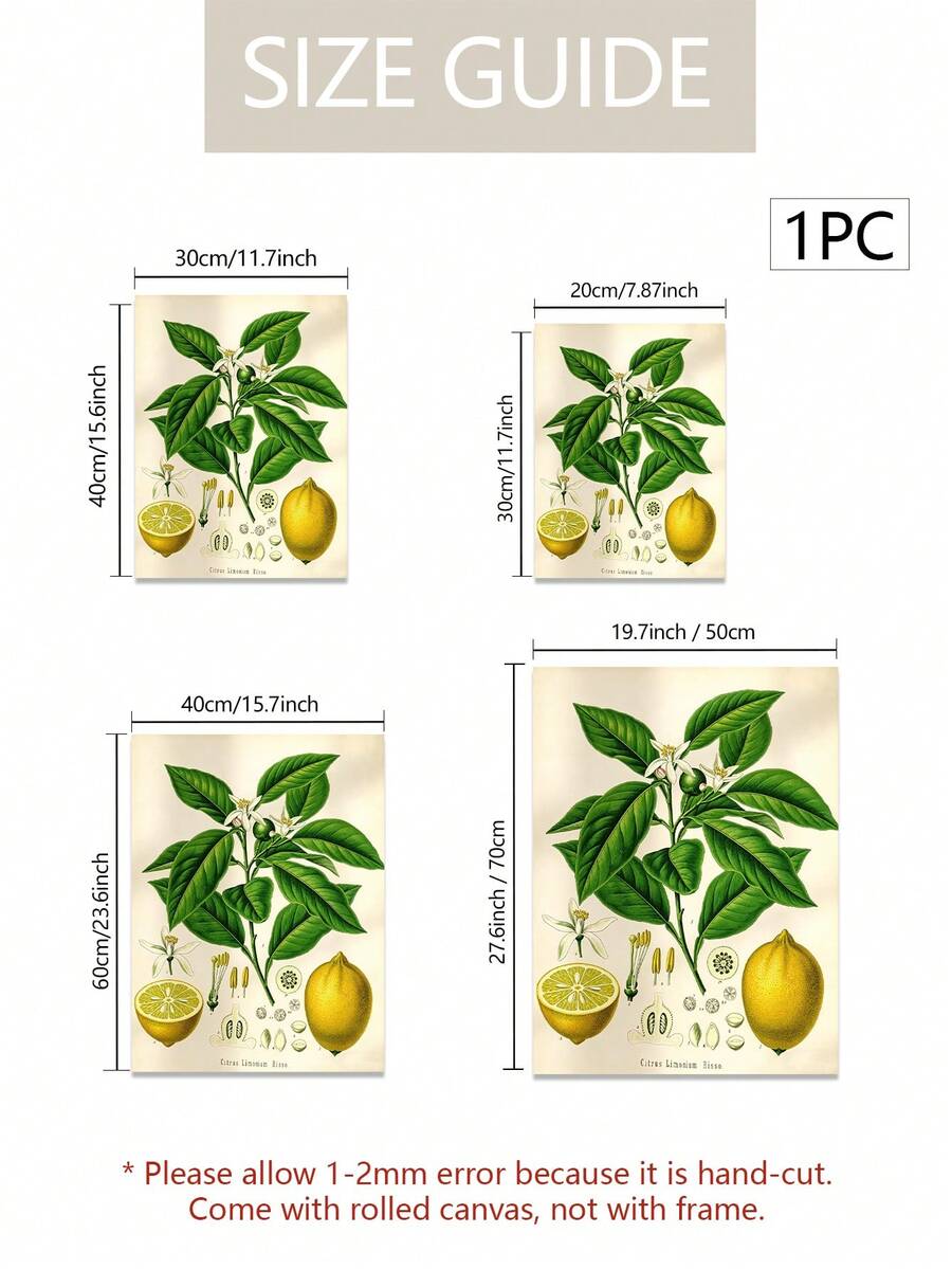 Canvas size guide showing four dimensions for the lemon botanical illustration