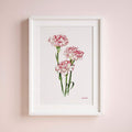 Three red-edged white carnations in a white frame on a pale wall