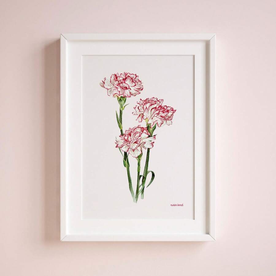 Three red-edged white carnations in a white frame on a pale wall