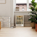Dragonfly canvas poster under window