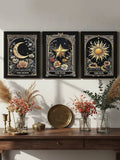 Dark celestial botanical triptych in black frames above a console