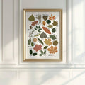 room mockup view of Framed botanical wall art showing illustrated tree leaves as a labeled species guide with cream background, olive greens and vintage nature chart styling.