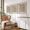 Elegant boho wildflower wall art arranged as a botanical poster set