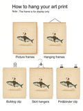 Cowboy riding giant fish art print display methods diagram