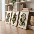 Close view of three arched vintage botanical canvas designs leaning beside shelves