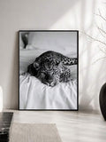 //img.ltwebstatic.com/v4/j/spmp/2026/09/24/76/1790241911f905e935838e22a8d8857e067d9b5bfd_thumbnail_900x.webp