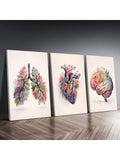 Add a touch of modern elegance to your home decor with our 3-piece anatomical art canvas set. Featuring beautiful floral accents, these canvases showcase the intricate details of the heart, brain, and lungs. Perfect for adding a stylish and educational element to any room.