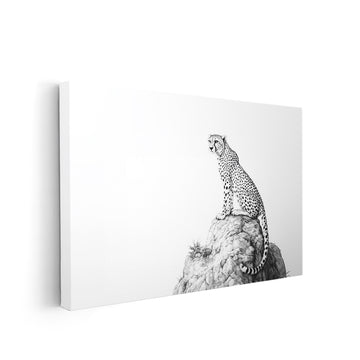 Experience the beauty and grace of nature with our Black and White Cheetah Wall Art Canvas Print. This minimalist wildlife sketch brings a touch of the wild into your living room, sofa backdrop, or bedside. A perfect addition to your home decor, showcasing the power and elegance of these magnificent creatures.