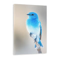 Expertly capture the beauty of nature with our Blue Bird Wildlife Canvas Wall Art Print. Made with high-quality canvas and featuring stunning nature photography, this piece is perfect for adding a touch of life to any living room, sofa backdrop, or bedside decoration. Elevate your home decor with this exquisite piece of art.