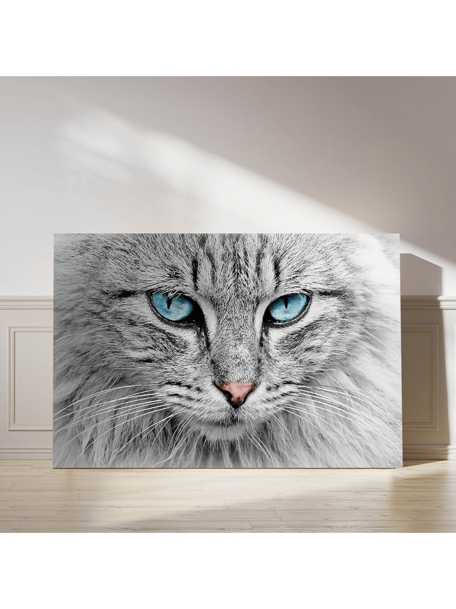 Introducing the perfect addition to your stylish home decor - the Chic Black and White Cat Canvas Art Print. Featuring a sleek and stylish design, this print is made with high-quality materials for a long-lasting, stunning display. Add a touch of sophistication to any room with this beautiful piece.