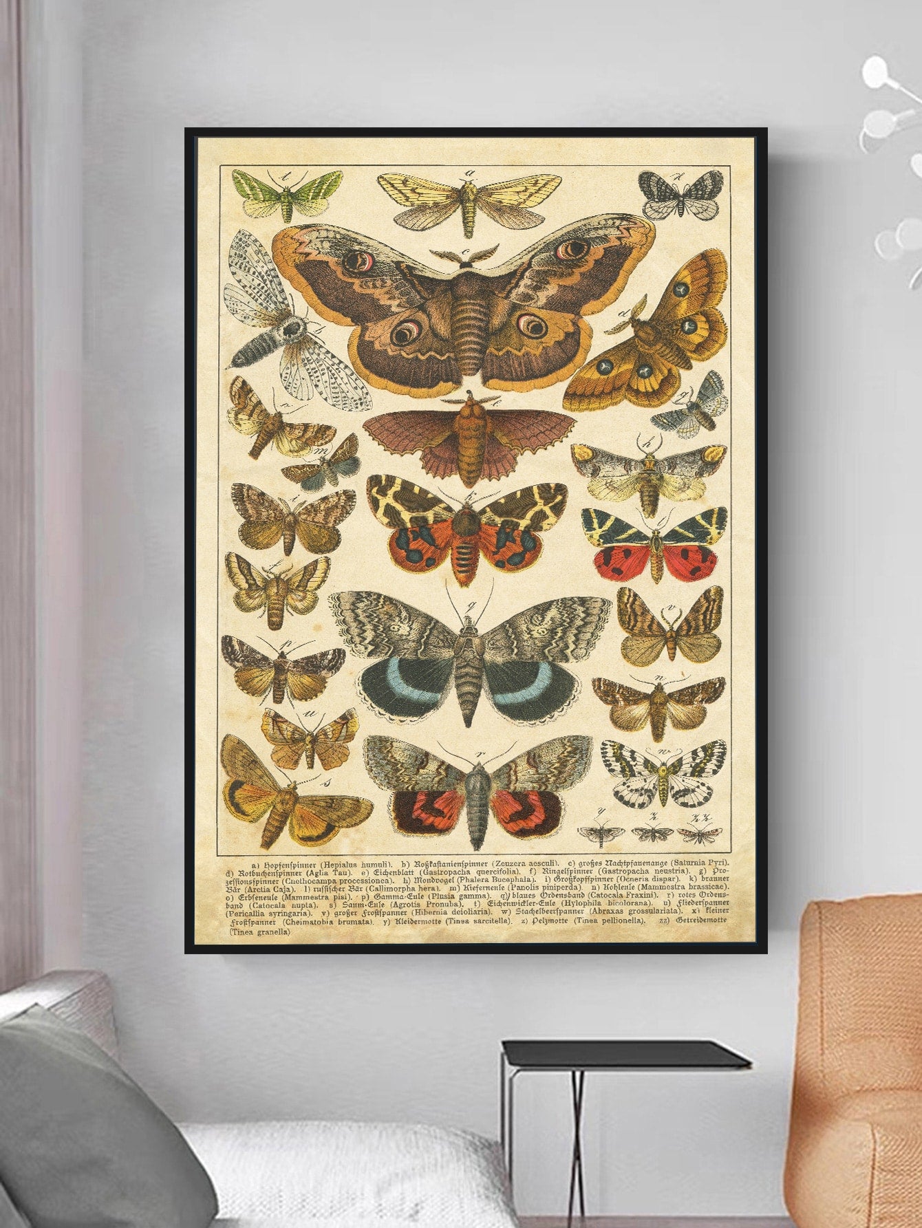 Elevate your living space with this elegant unframed butterfly canvas art print, designed to add a touch of sophistication and natural beauty to any room. Its delicate butterfly motif symbolizes transformation and grace, making it an ideal decorative piece for home or office. This art print also serves as a thoughtful and timeless gift for birthdays and graduations, celebrating new beginnings and achievements with style. Crafted for versatility, it complements various interior styles and allows for personal