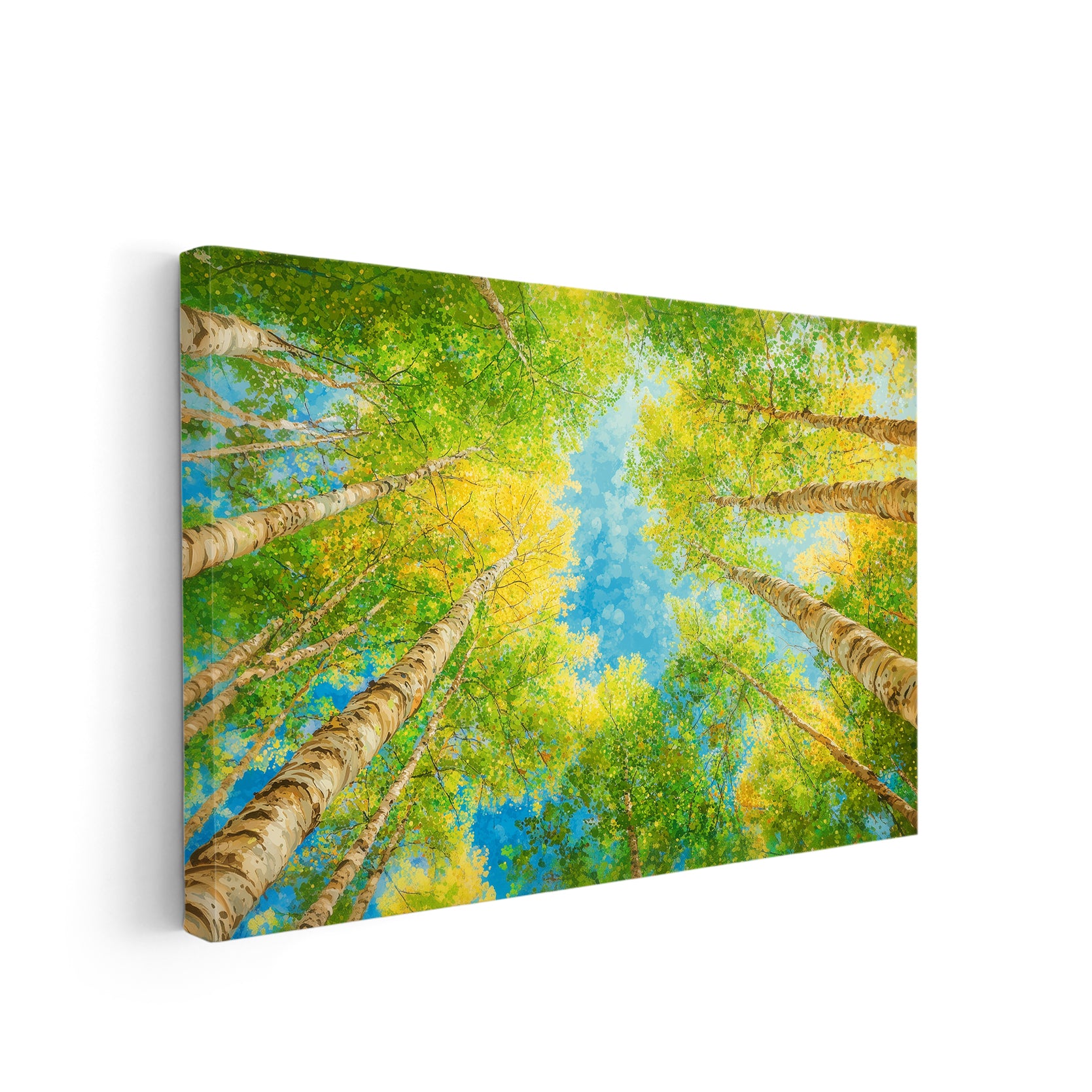 Enhance your living space with this stunning Forest Canopy Canvas Wall Art. The nature photography print of Birch Trees adds a peaceful and serene touch to your room. Perfect for a living room, sofa backdrop, bedside decoration or overall home decor. Made with high-quality canvas for a lasting and durable piece.