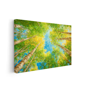 Enhance your living space with this stunning Forest Canopy Canvas Wall Art. The nature photography print of Birch Trees adds a peaceful and serene touch to your room. Perfect for a living room, sofa backdrop, bedside decoration or overall home decor. Made with high-quality canvas for a lasting and durable piece.