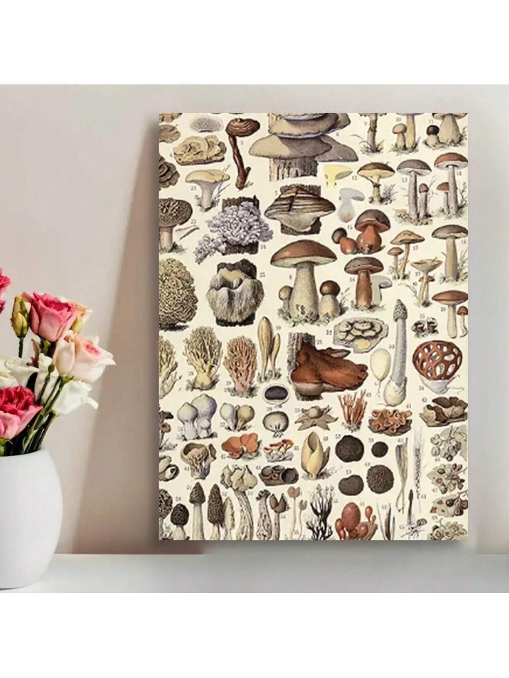 Learn about a variety of mushrooms and herbs with this vintage poster. Designed for educational purposes, this framed poster adds a touch of nature to any bedroom or classroom. With detailed illustrations and scientific facts, this poster is perfect for all ages.