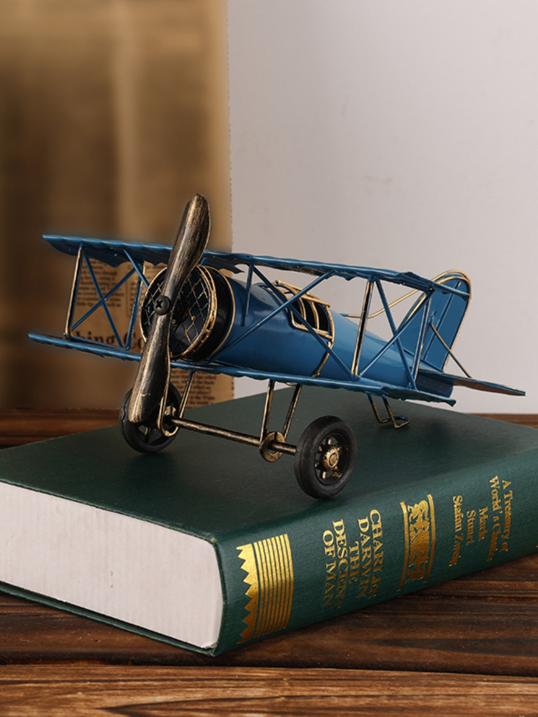 Expertly crafted with iron, this Modern Airplane Iron Decoration Craft is a sleek and stylish addition to any home decor. With its modern design and intricate details, this decoration adds a touch of sophistication to any room. Made to last and impress, this craft will elevate your home's interior design.