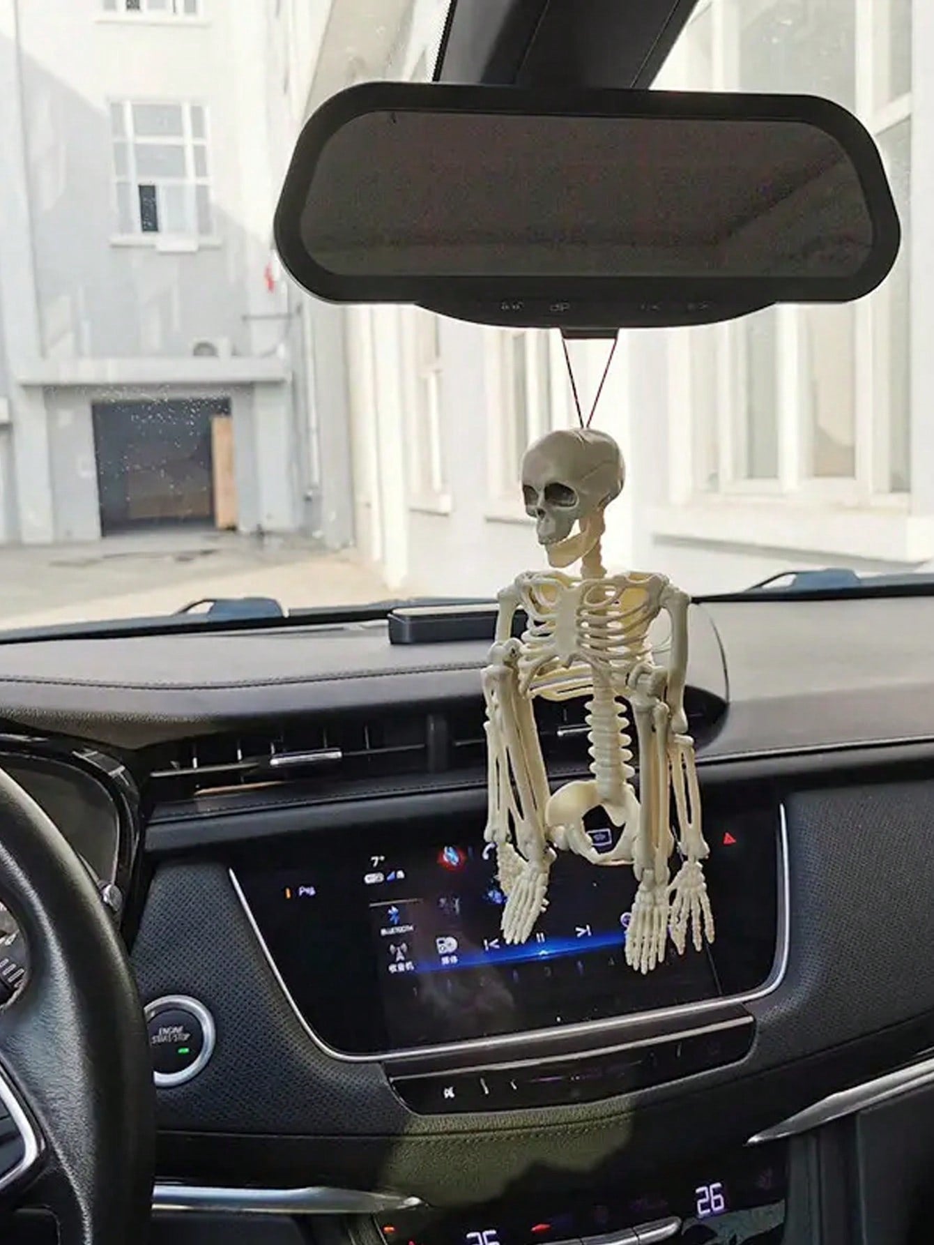Elevate your Halloween decor with this realistic, 16-inch skull decoration. Its movable joints allow for customizable positioning, perfect for adding spooky charm to your yard, garden, or car. Crafted with intricate detail, this skull is sure to impress and add a frightful touch to any Halloween setting.