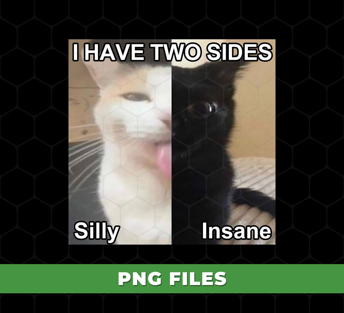 Funny Cat Meme I Have Two Sides Silly And Insane, Split Personality Cat PNG, Humor Animal Meme Sublimation, PNG For Shirts, PNG Sublimation