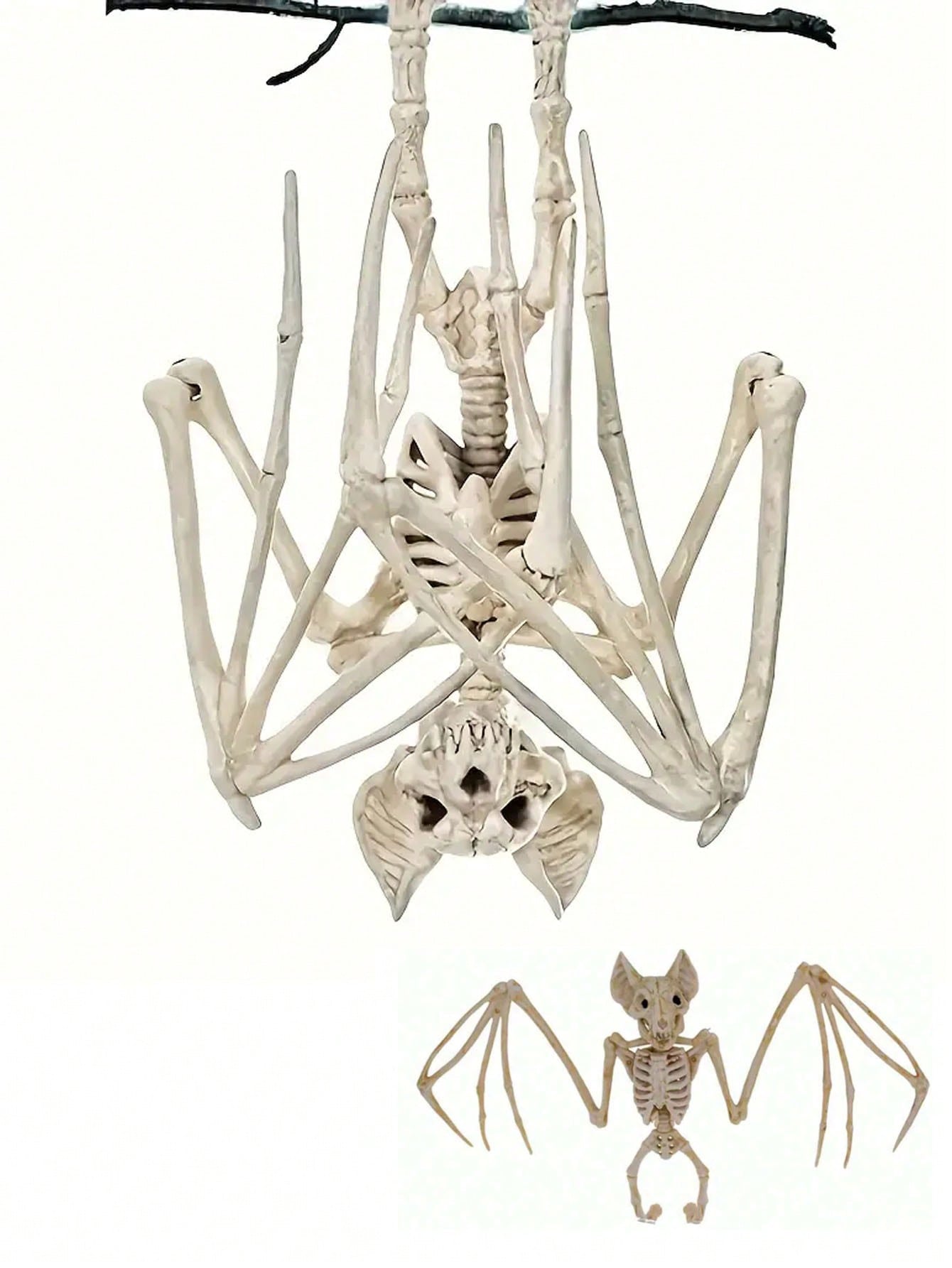Create the ultimate spooky Halloween atmosphere with our Skeleton Bat Decoration. Perfect for outdoor horror scenes and costume props, it's the perfect addition to any Halloween display. Made with high-quality materials, this skeleton bat is durable and sure to impress.