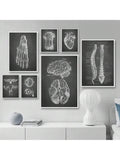 Elevate your space with this stylish black human anatomy wall art, featuring detailed anatomical illustrations of the skeleton and organs. Perfect for home decor, educational environments, or as a unique gift, this print combines scientific accuracy with modern design. Its monochromatic palette ensures it complements various interiors while serving as a conversation starter and learning tool. Ideal for those who appreciate both art and anatomy, this piece brings sophistication and knowledge into any room.
