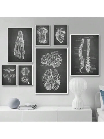 Elevate your space with this stylish black human anatomy wall art, featuring detailed anatomical illustrations of the skeleton and organs. Perfect for home decor, educational environments, or as a unique gift, this print combines scientific accuracy with modern design. Its monochromatic palette ensures it complements various interiors while serving as a conversation starter and learning tool. Ideal for those who appreciate both art and anatomy, this piece brings sophistication and knowledge into any room.